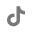 Tiktok Icon